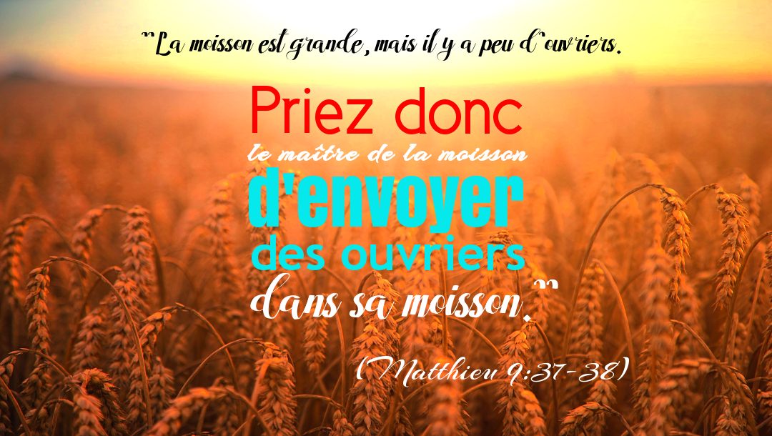 7 principes bibliques fondamentaux pour évangéliser efficacement